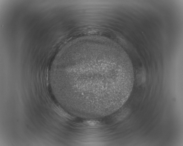 X0000082200654200702021845