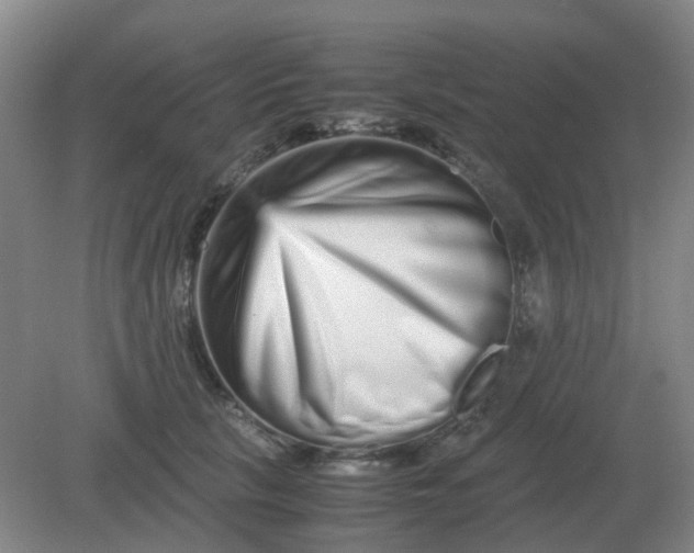 X0000082200657200702021845