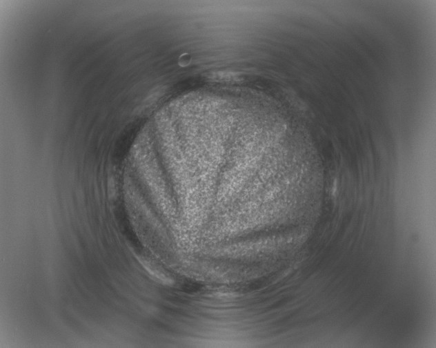 X0000082200658200702021845