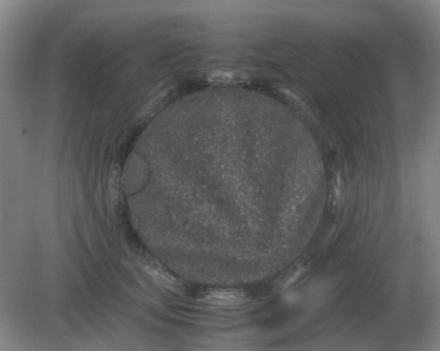 X0000082200659200702021845