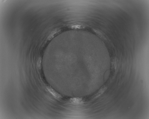 X0000082200660200702021845