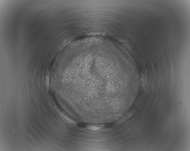 X0000082200662200702021845