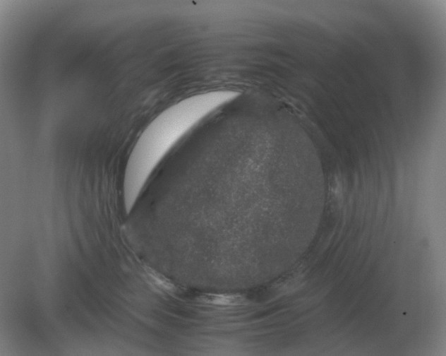 X0000082200663200702021845