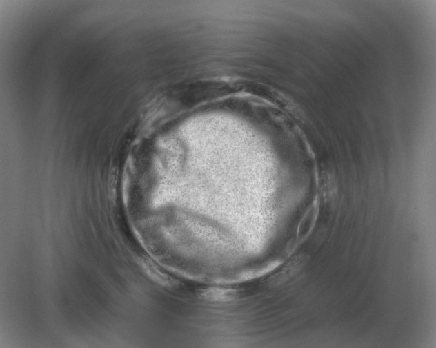 X0000082200664200702021845