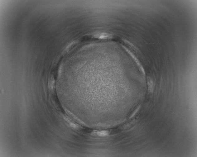 X0000082200665200702021845