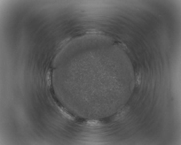 X0000082200666200702021845