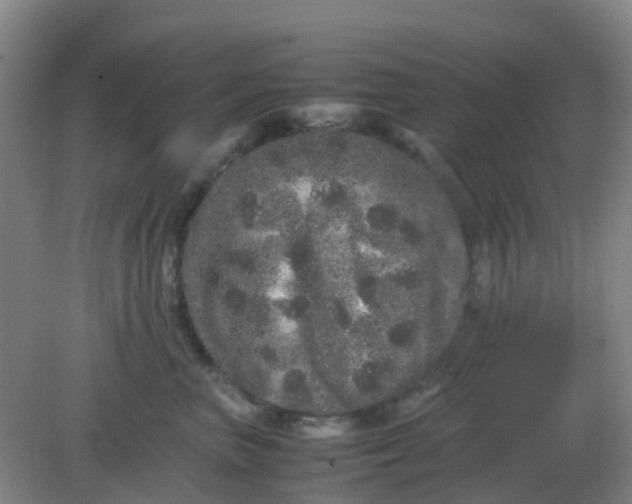 X0000082200667200702021845