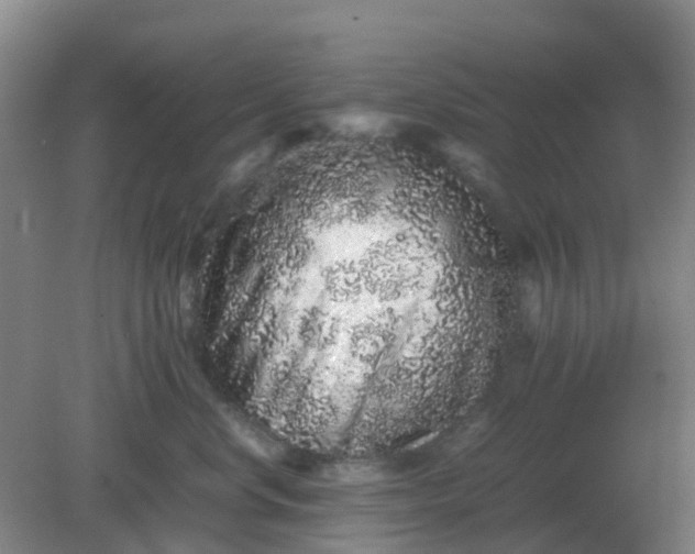 X0000082200668200702021845