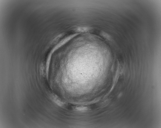 X0000082200669200702021846