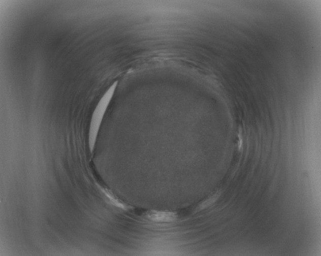 X0000082200670200702021846