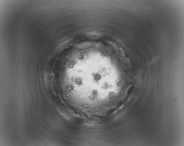 X0000082200671200702021846