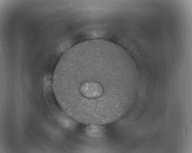 X0000082200672200702021846