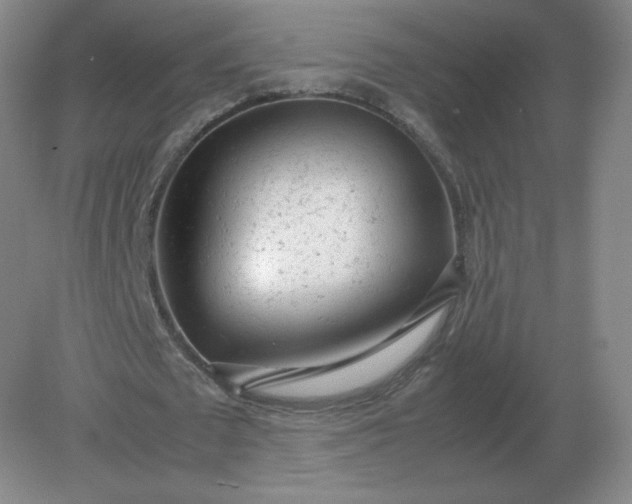 X0000082200673200702021845