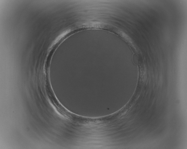 X0000082200674200702021845