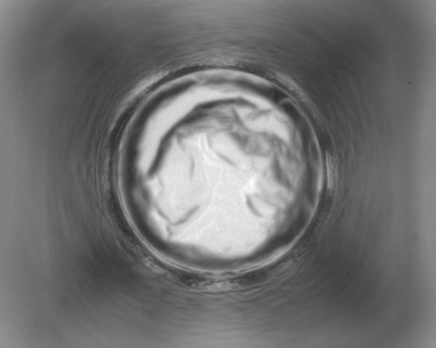 X0000082200675200702021845