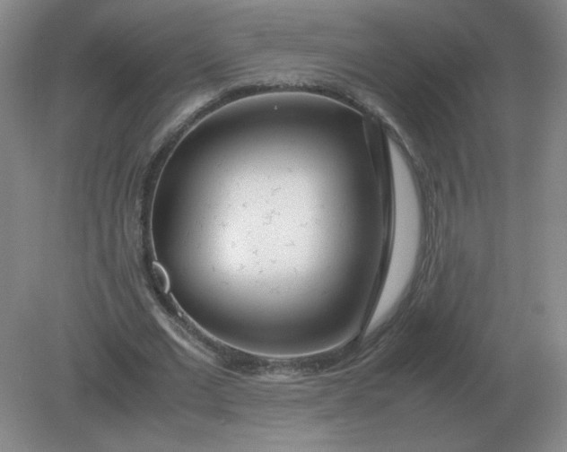 X0000082200677200702021845