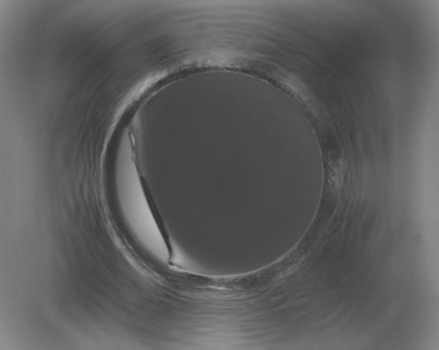 X0000082200678200702021845