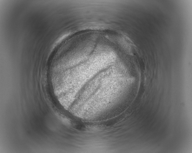 X0000082200679200702021845