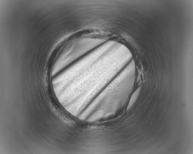 X0000082200680200702021845