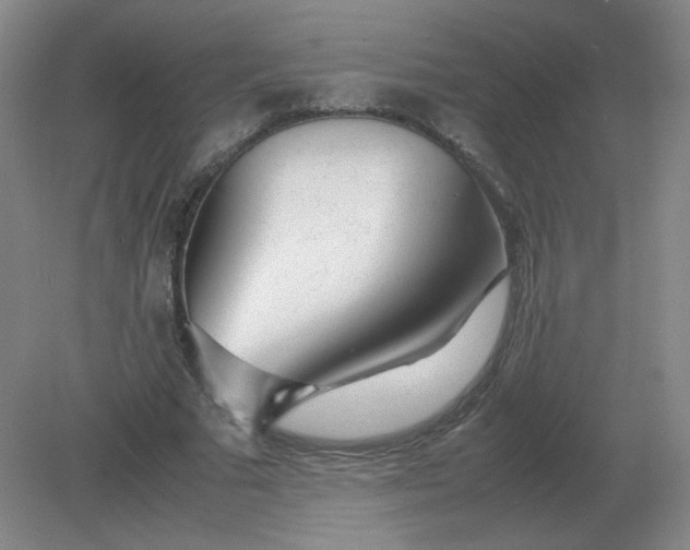 X0000082200681200702021845