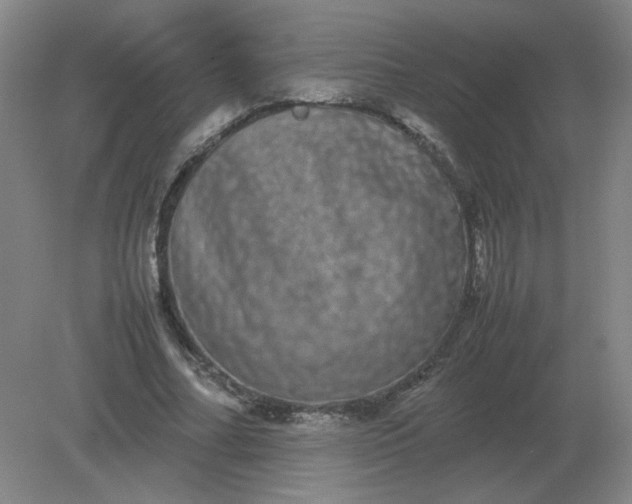 X0000082200682200702021845