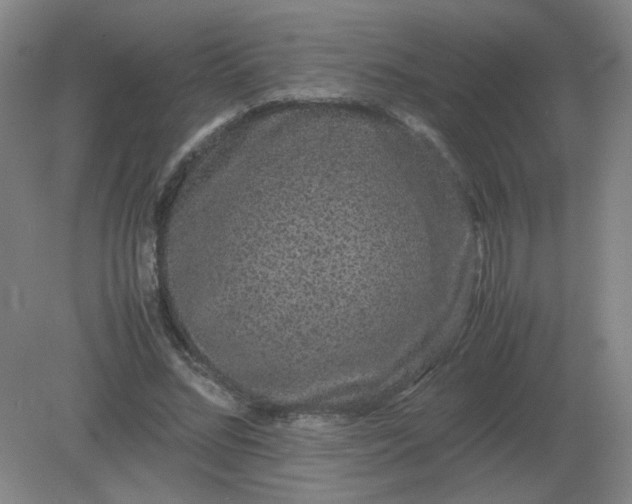 X0000082200684200702021845