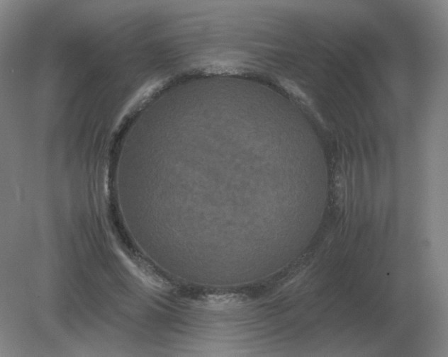 X0000082200686200702021845