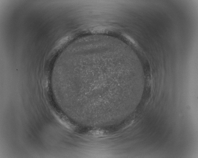 X0000082200687200702021845