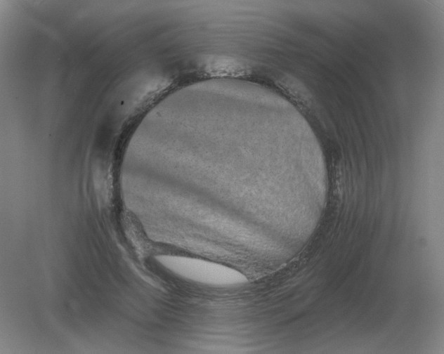 X0000082200690200702021844