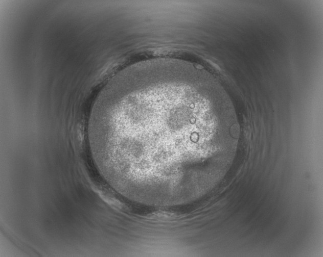 X0000082200691200702021844