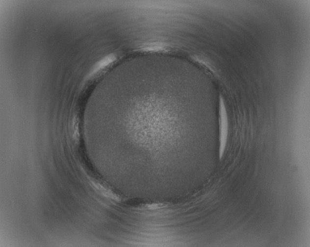 X0000082200692200702021844