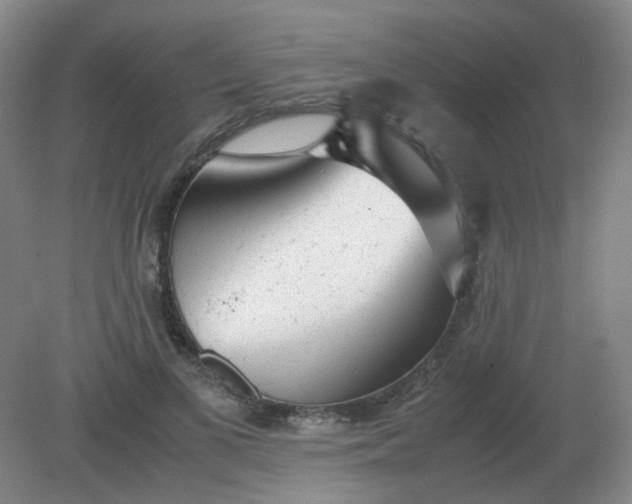 X0000082200693200702021844