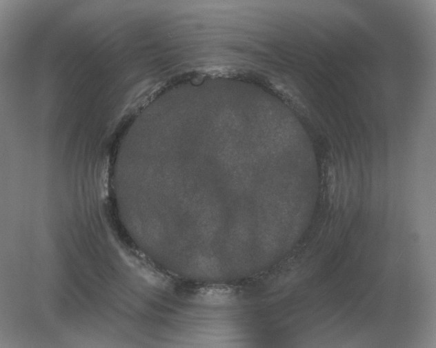 X0000082200694200702021844