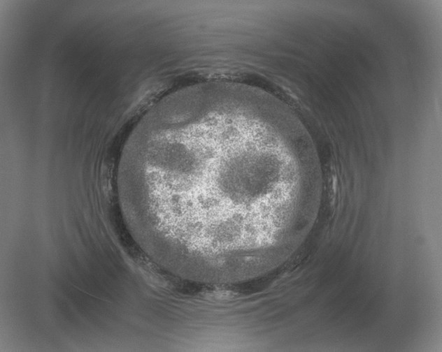 X0000082200695200702021844