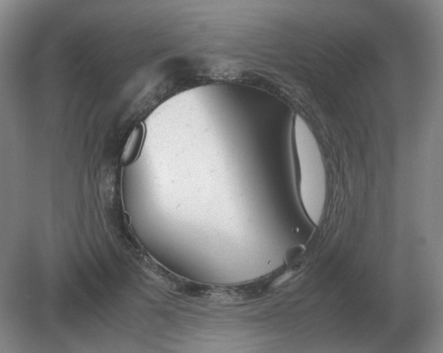 X0000082200697200702021844