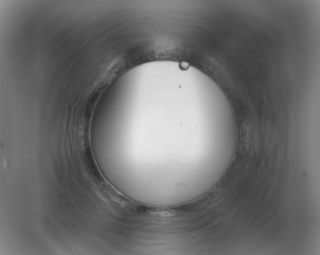 X0000082200698200702021844