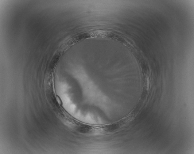 X0000082200701200702021844