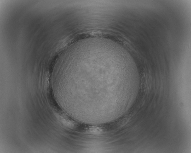 X0000082200702200702021844