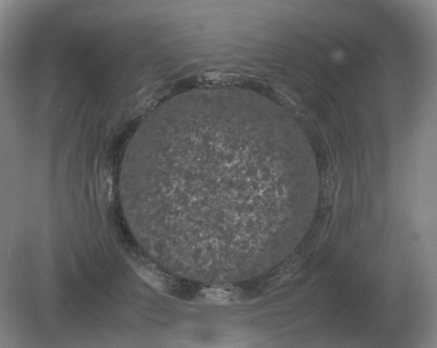 X0000082200703200702021844