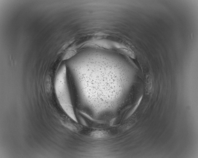 X0000082200704200702021844