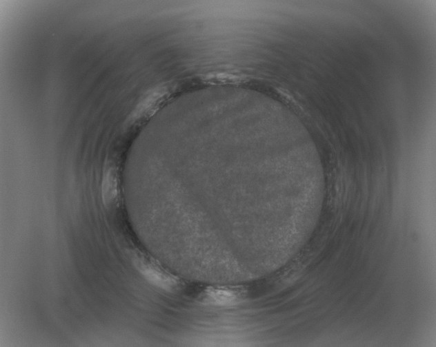 X0000082200706200702021844