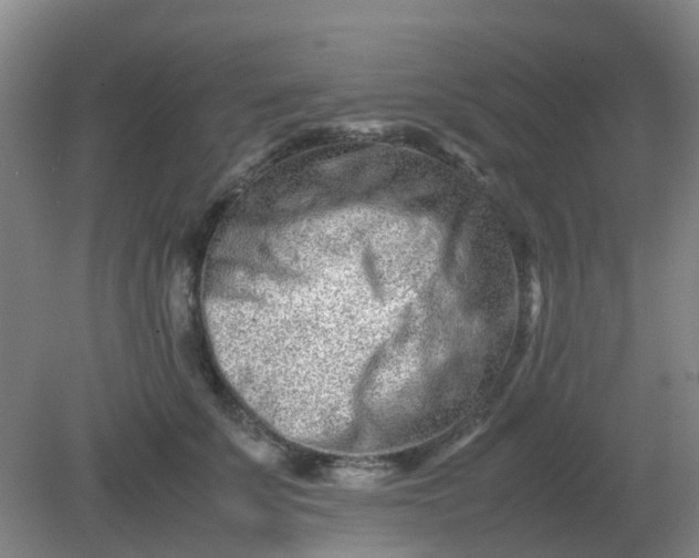 X0000082200707200702021844