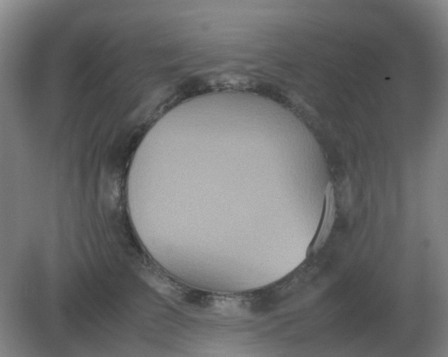 X0000082200709200702021844