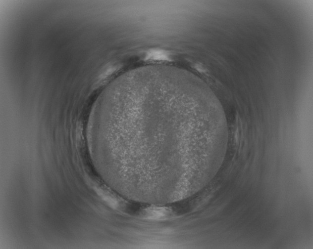 X0000082200711200702021844