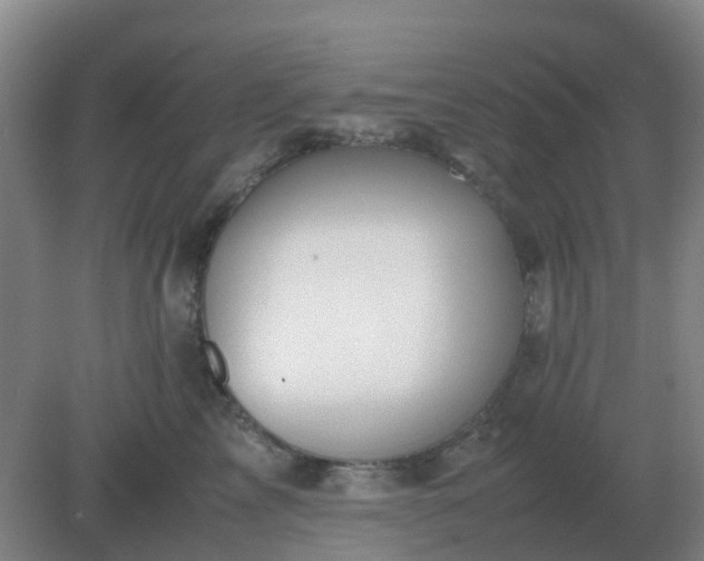 X0000082200713200702021844