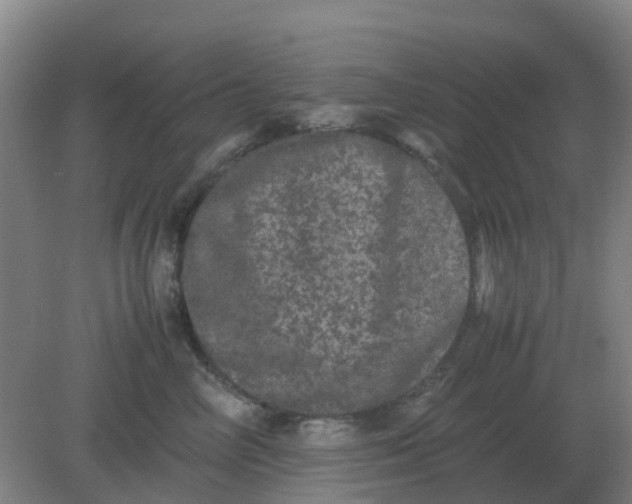 X0000082200714200702021844