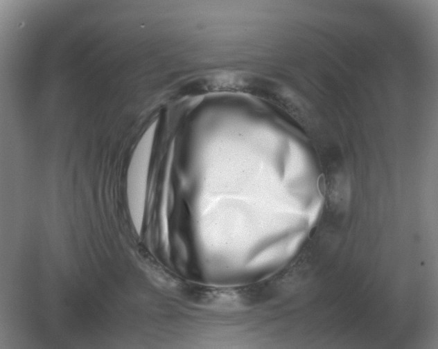 X0000082200715200702021844