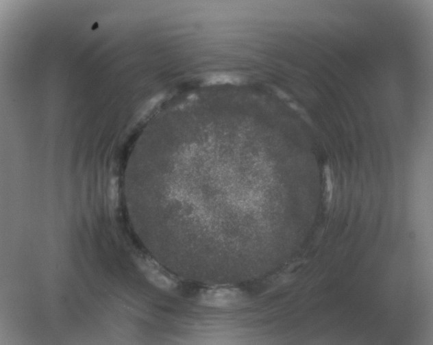 X0000082200716200702021844