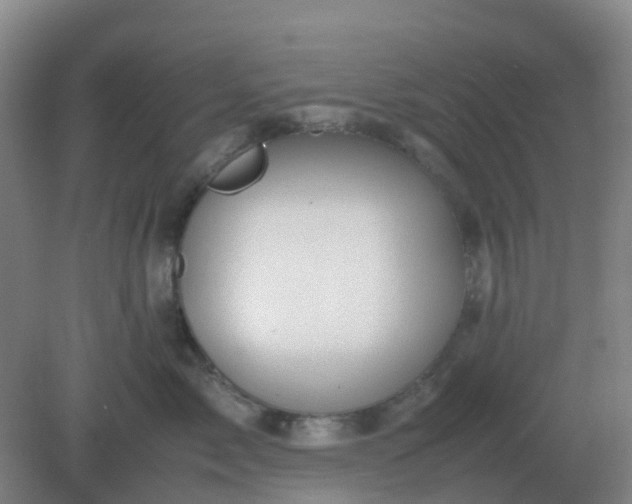 X0000082200717200702021844