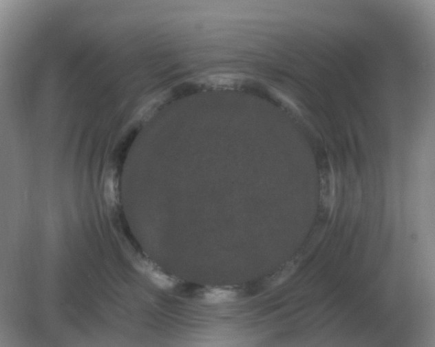 X0000082200718200702021844